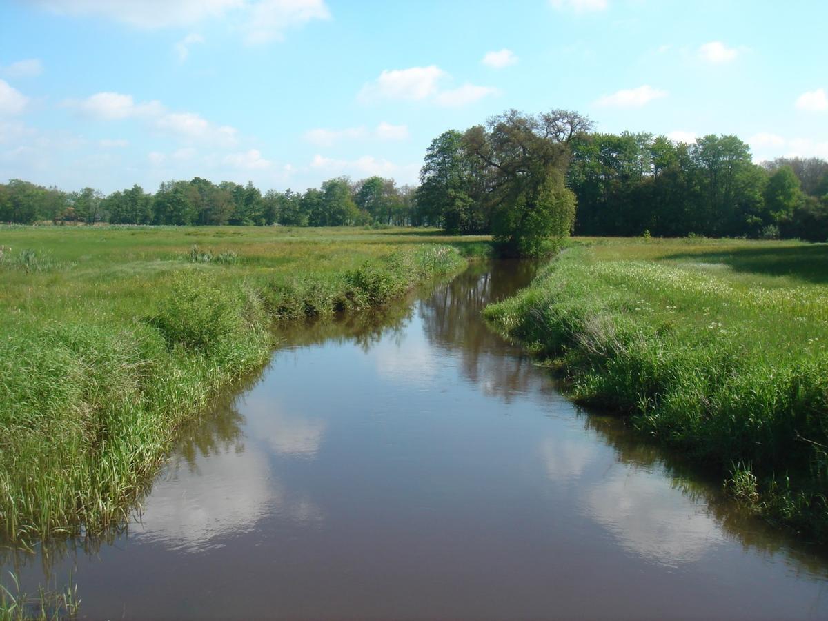 Herberg De Fazant Oudemolen Exteriér fotografie